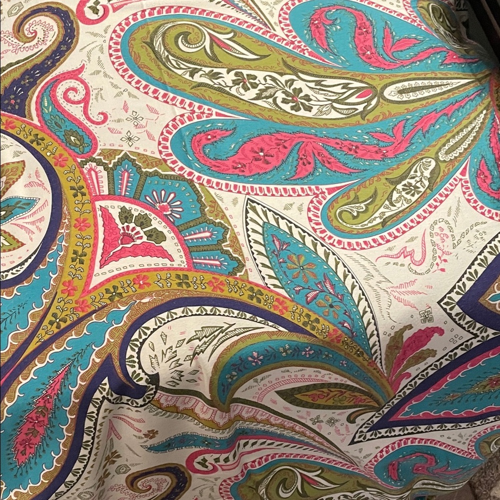 Crate&Barrel Beautiful and Fun Nina Paisley Duvet and one pillow sham